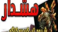 ویروس تب کریمه با ۲۴ ساعت انجماد از بین می‌رود