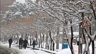 بارش برف و باران از سه شنبه در پایتخت
