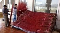  اشتغال هشت هزار نفر با تولید بید سرخ
