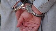 نقشه پلید دزدان برای سرقت از میزبانان نوروزی
