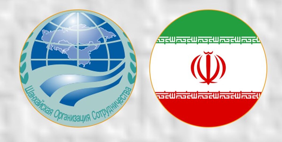 کشورهای شانگهای باید به سمت حذف دلار بروند