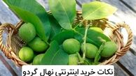 بهترین نکات خرید اینترنتی نهال گردو در سال 1400