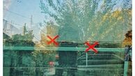 هنرنمایی مهدی پاکدل در عرصه عکاسی+عکس