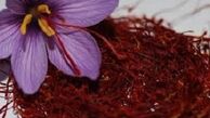 طلای سرخ به ثبات رسید