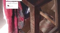 «گود»؛ برشی از تاریخ سیاسی ایران/ بخش هایی از رمان