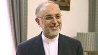 صالحی رئیس سازمان انرژی اتمی شد