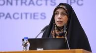 امین‌زاده:
منشور حقوق شهروندی به هیچ وجه از غرب اقتباس نشده است