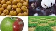بازی با جان مردم با اجازه ورود محصولات تراریخته