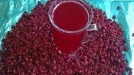 تقویت سیستم ایمنی بدن با آب زرشک طبیعی