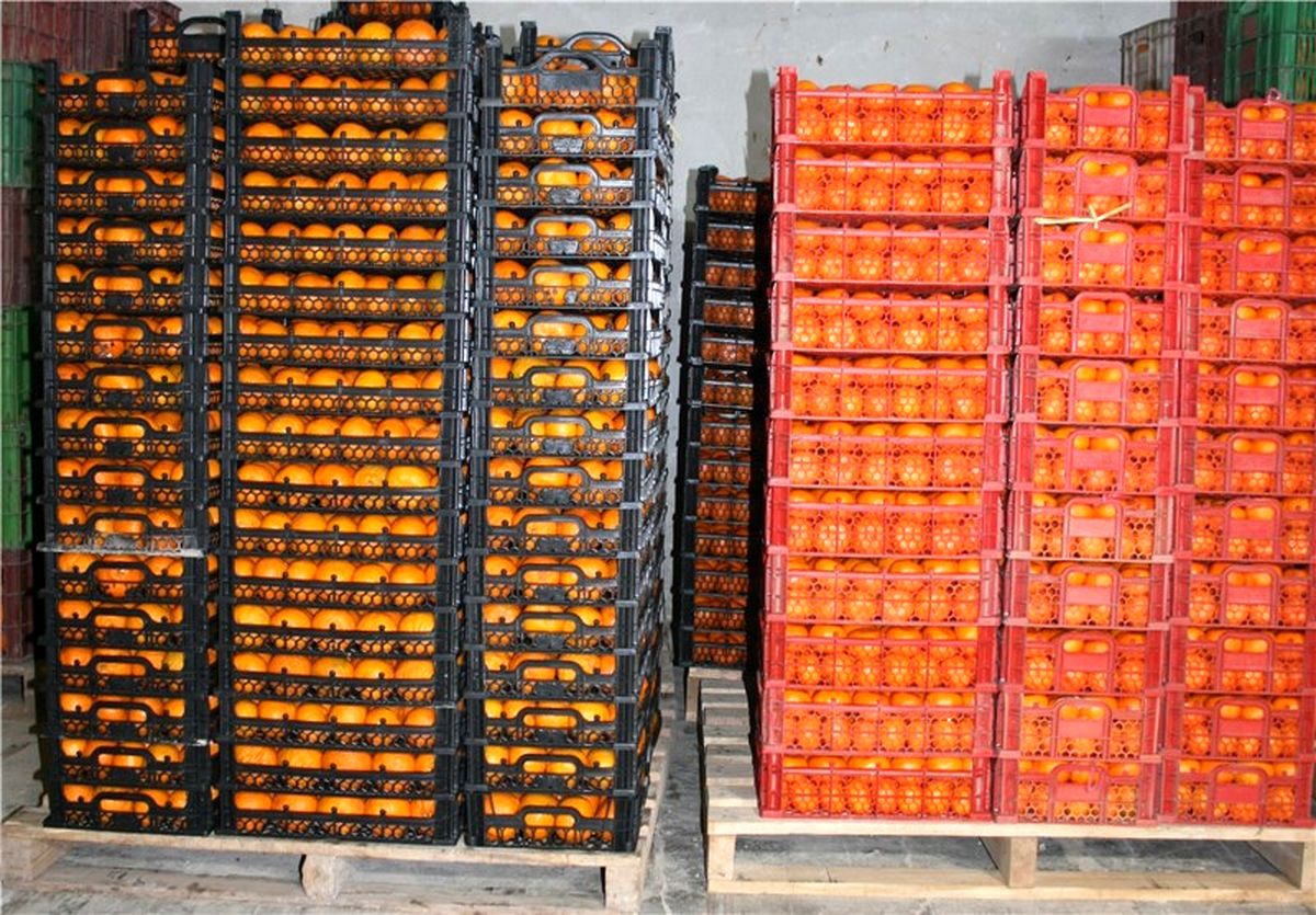  آخرین وضعیت تنظیم بازار شب عید