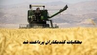 ۹۰ درصد مطالبات گندمکاران پرداخت شد
