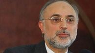 صالحی: به‌سمت ساخت نیروگاه‌های هسته‌ای کوچک می‌رویم