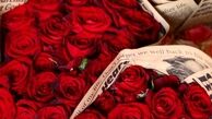 صبح پر انرژی به سبک بابک برزویه