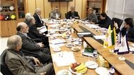 رویانیان نظراتش را در مورد لیگ ارائه کند