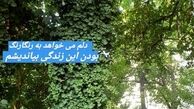 زندگی دلخواه آزاده صمدی از زبان خودش+عکس