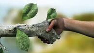 سلبریتی‌ها شمشیری دولبه در برابر محیط زیست