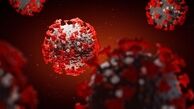 «کرونا» بیماری تنفسی است یا مشکل خونی؟