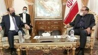 دیدار نوری المالکی با دبیر شورای عالی امنیت ملی 