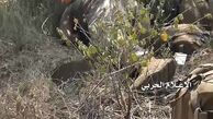 ۶ نظامی سعودی دیگر به دست یمنی ها از پای درآمدند