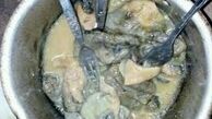 خوردن گوشت گربه در سیستان و بلوچستان به کجا رسید؟