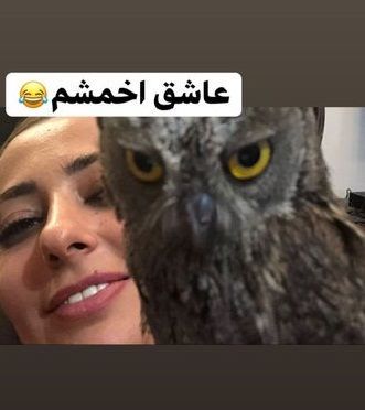 نفیسه روشن  عاشق شد + عکس