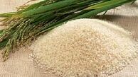 علل افزایش قیمت برنج باسماتی
