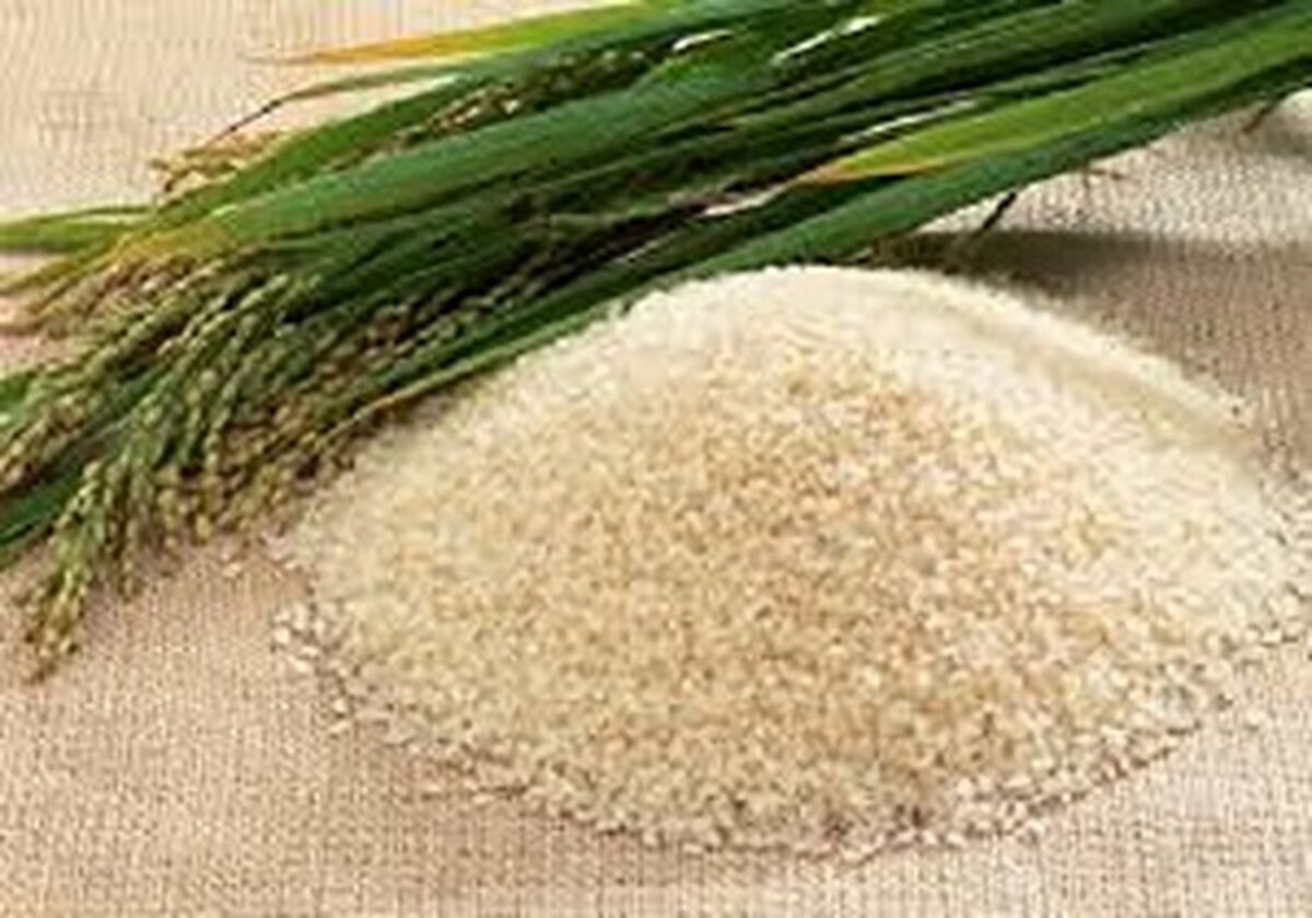 قیمت مصوب برنج وارداتی در بازار + جدول