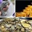 قیمت دلار، طلا، سکه در بازار امروز ۳۰ تیر ۱۴۰۵ + جدول