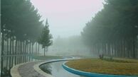 تغییر نام بوستان پردیسان در انتظار نظرنهایی ابتکار 