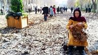 صحنه‌های جنگ مار و لک‌لک که دیگر تهرانی‌ها نمی‌بینند