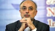 سازمان انرژی اتمی با صنعت هسته‌ای چه کرد؟