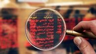 رشد یک هزار و ۶۰۸ واحدی شاخص کل بورس در ابتدای معاملات
