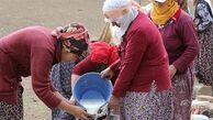 فعالیت روزانه زنان شیر دوش ترکیه 