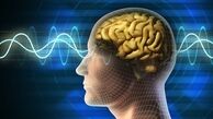 تاثیر مستقیم هورمون استرس بر ژن های مغز