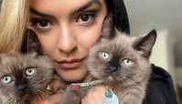 خوشبختی دنیا مدنی در کنار گربه هایش + عکس