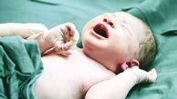 برای پسردار شدن این گیاه را بخورید 
