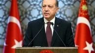  ناسیونالیست‌ها در کابینه اردوغان