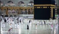 عمره 2 میلیون گران تر شد 