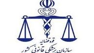 چند پرونده همسرآزاری در پزشکی قانونی تهران تشکیل شد؟