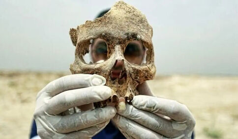 بدن انسان تا یک سال پس از مرگ حرکت می‌کند! 