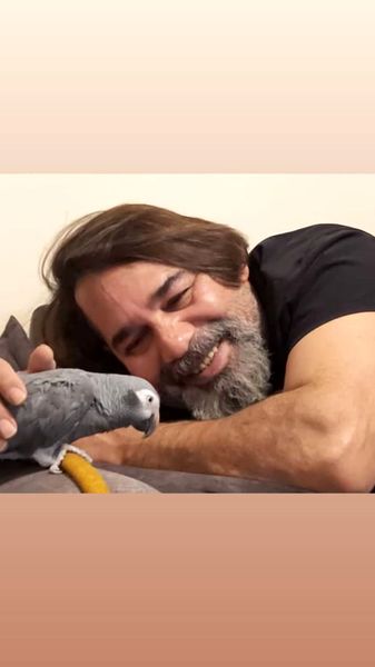 طوطی زیبا داریوش سلیمی + عکس