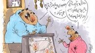 چه خبر از گربه پیشگو؟!