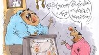 چه خبر از گربه پیشگو؟!