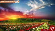 عکسی از رنگی‌ترین پارک دنیا