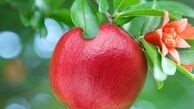 خواص شگفت‌انگیزِ آب انار