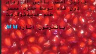 پاییز دونه اناری آزاده نامداری
