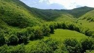  ماهواره خیام در خدمت منابع طبیعی