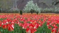 محلات، بهشت رنگارنگ گردشگران