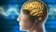 ابداع روشی برای بازگرداندن حافظه آلزایمری‌ها 