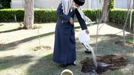 کاشت نهال توسط رهبر انقلاب